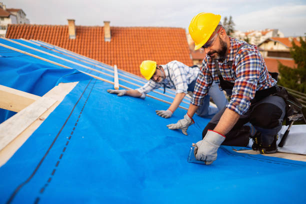 Best Roof Insulation Installation  in East Bethel, MN